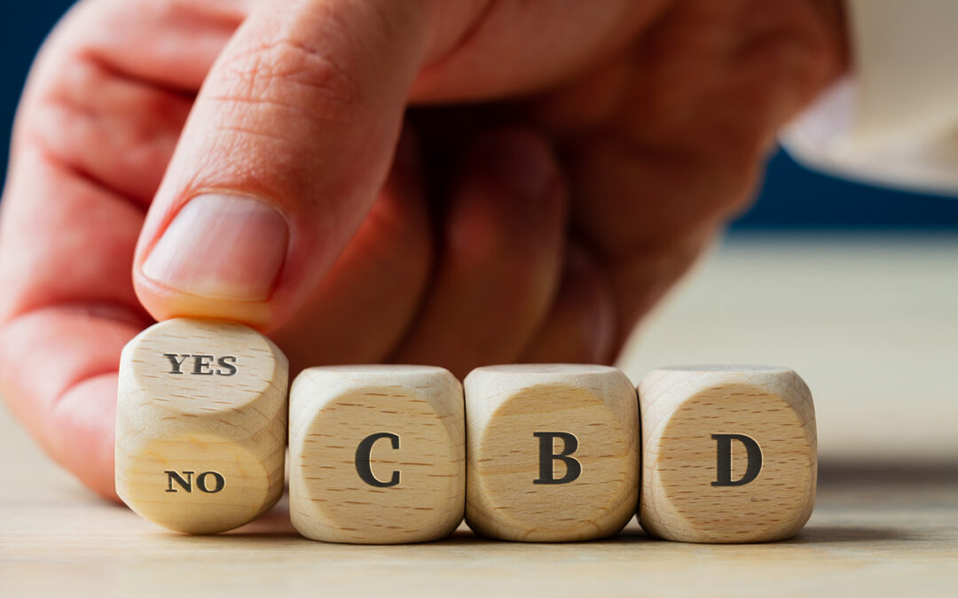 What are the potential benefits of using CBD?