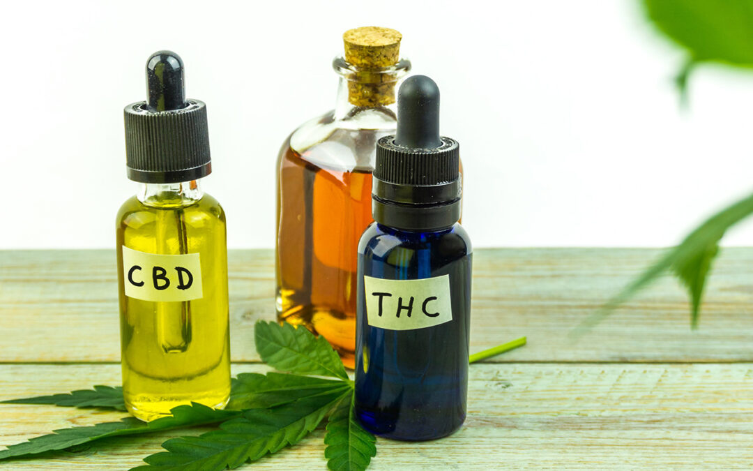 What is the Difference Between CBD and THC?