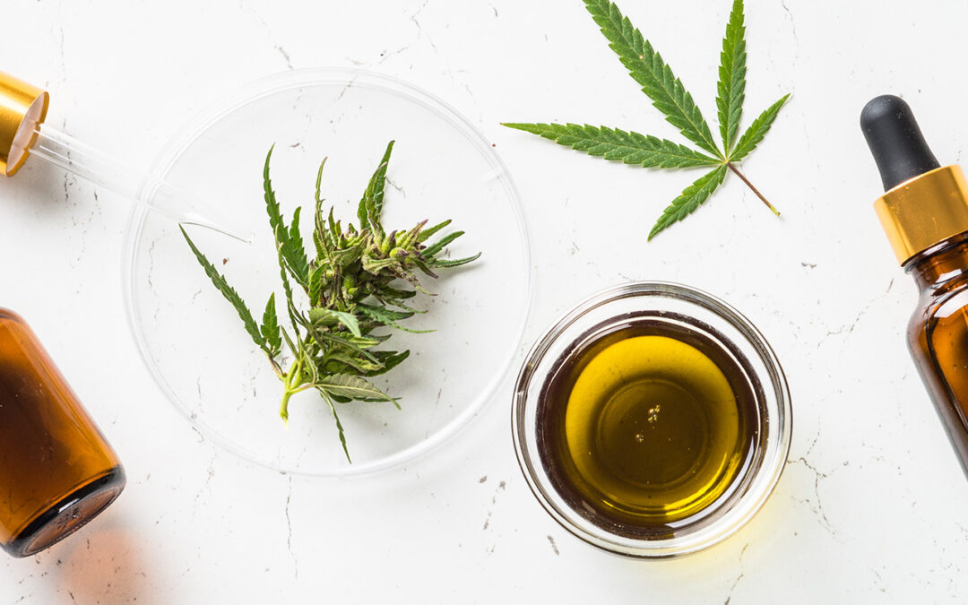 Uncover the Truth: What to Seek in a Top-Notch CBD Product